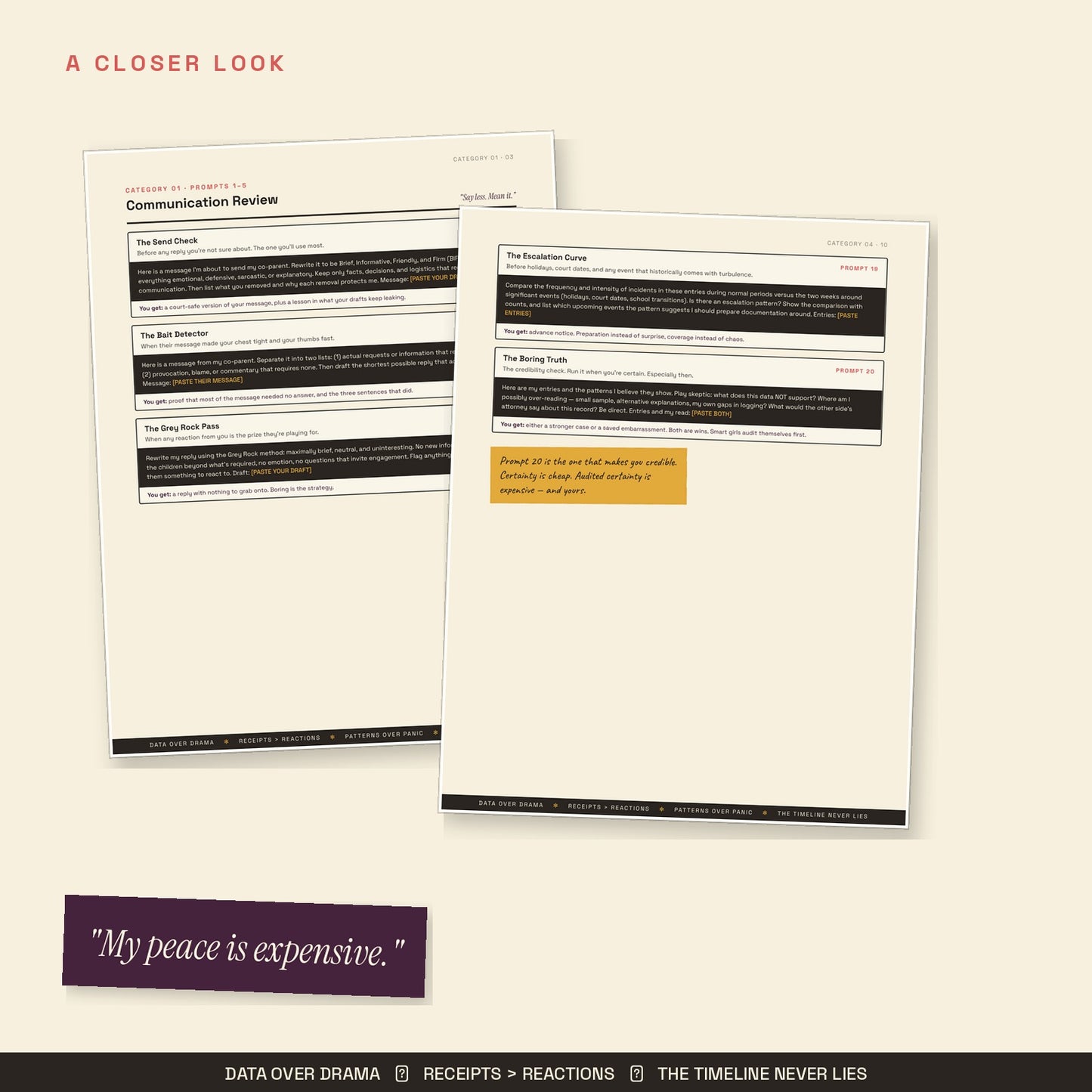 Close-up of BIFF message rewrite and decision support prompts