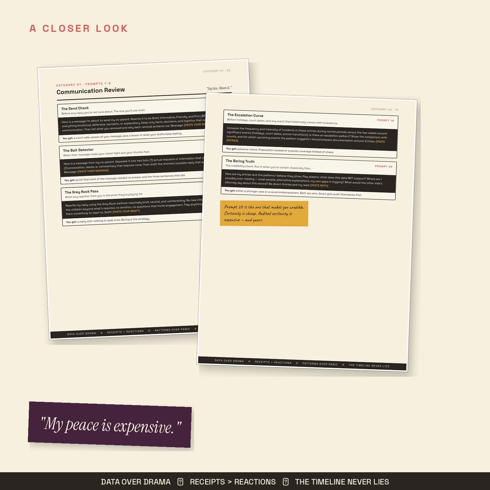 Close-up of BIFF message rewrite and decision support prompts