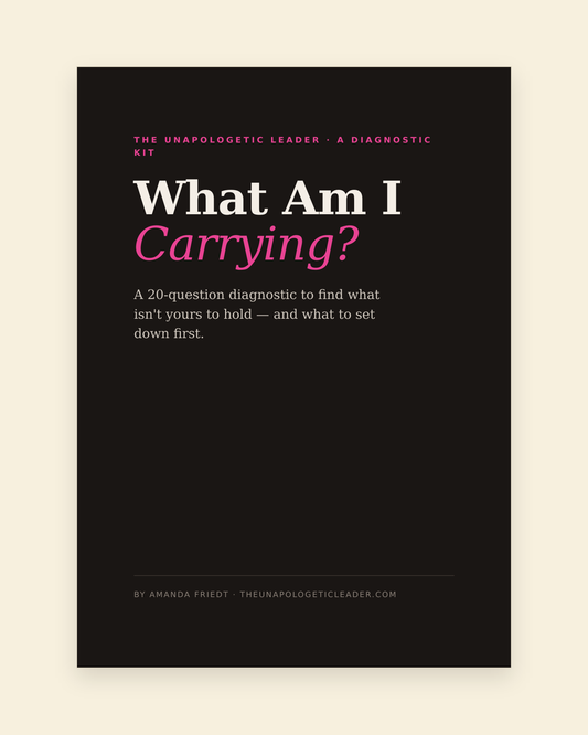 What Am I Carrying diagnostic kit cover